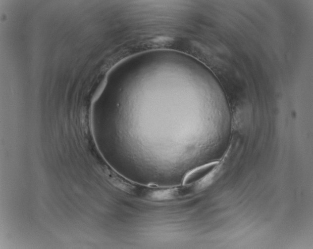 X0000076270178200610051320