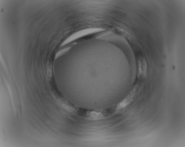 X0000076270180200610051320