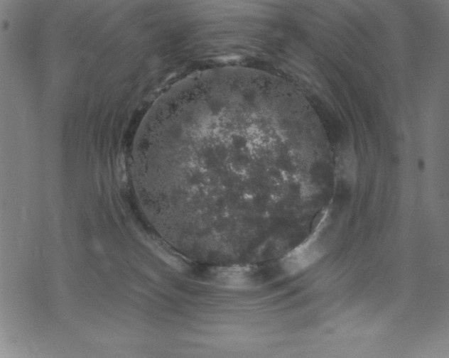 X0000076270182200610051320