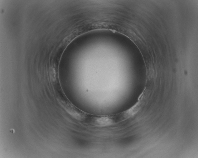 X0000076270183200610051320