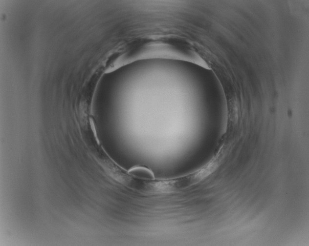 X0000076270184200610051320