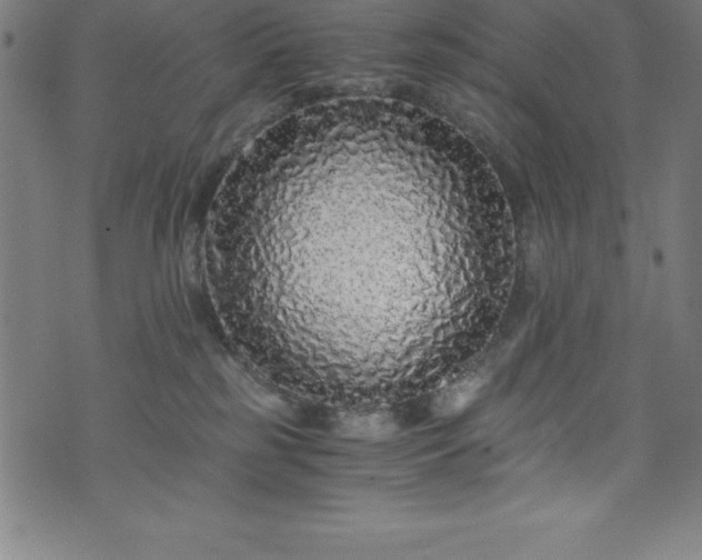 X0000076270185200610051320