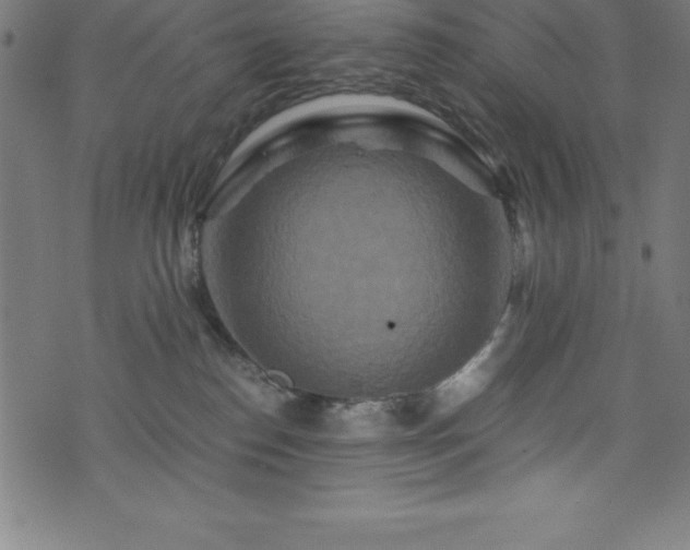 X0000076270186200610051320