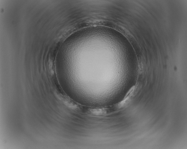 X0000076270187200610051320