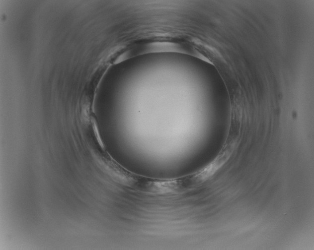 X0000076270188200610051320