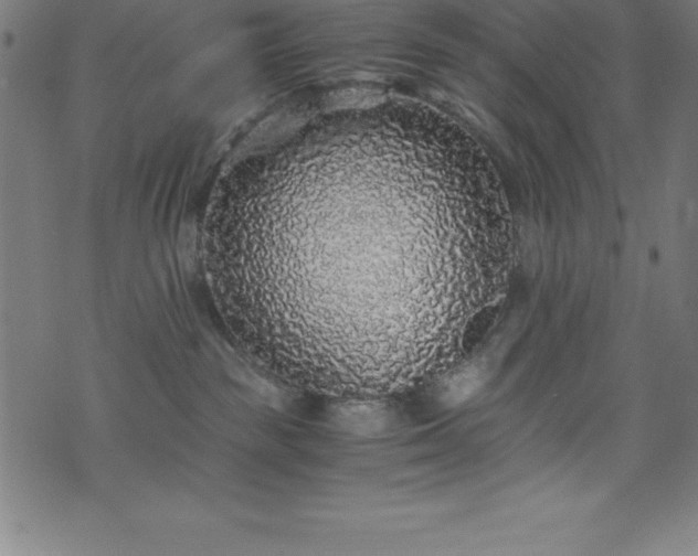 X0000076270189200610051320