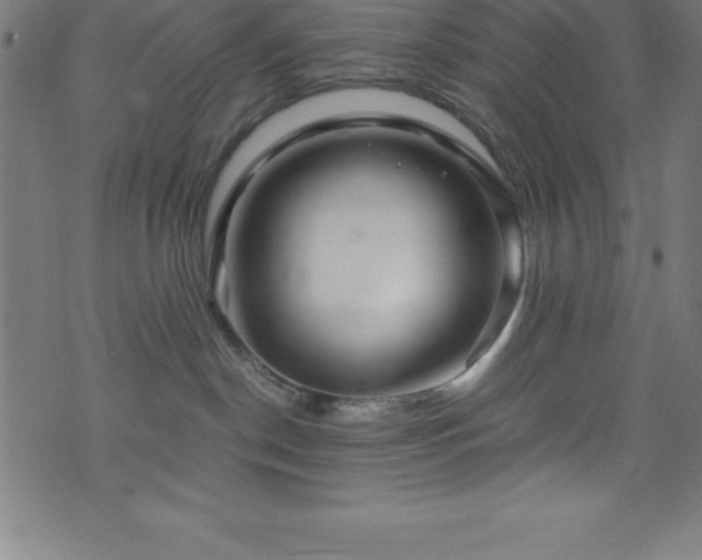 X0000076270190200610051320