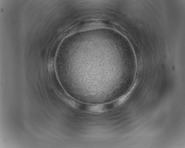 X0000076270191200610051320