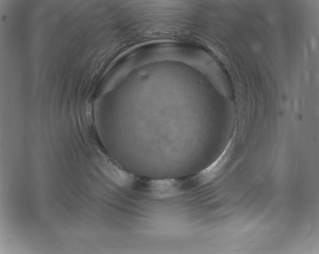 X0000076270192200610051320