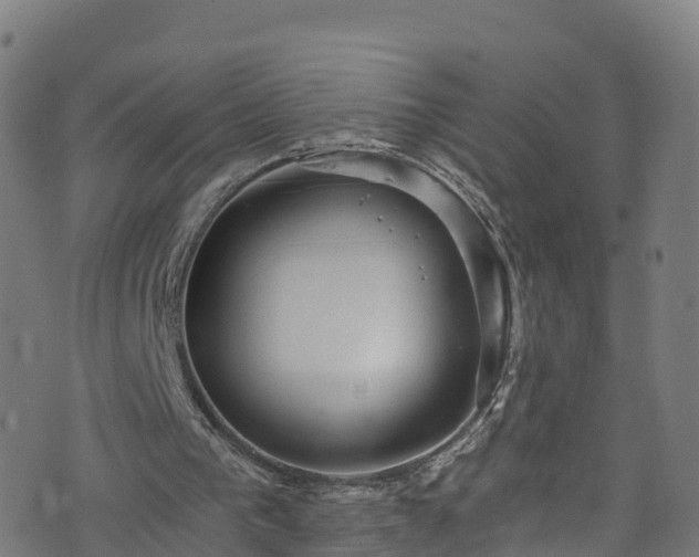 X0000076270193200610051319