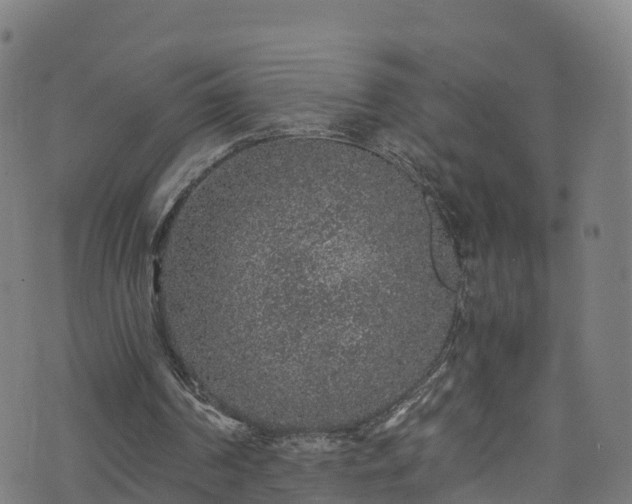 X0000076270194200610051319