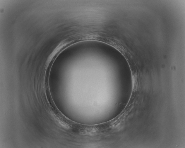 X0000076270195200610051319