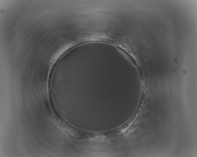 X0000076270196200610051319