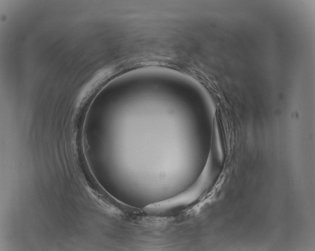 X0000076270197200610051319