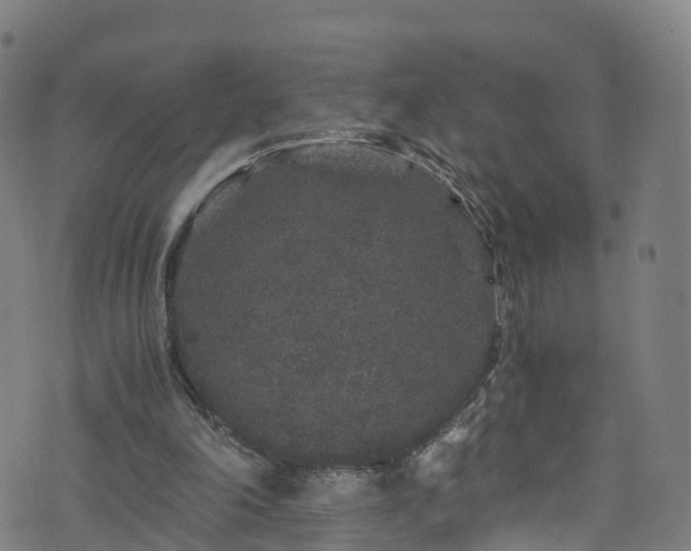 X0000076270198200610051319