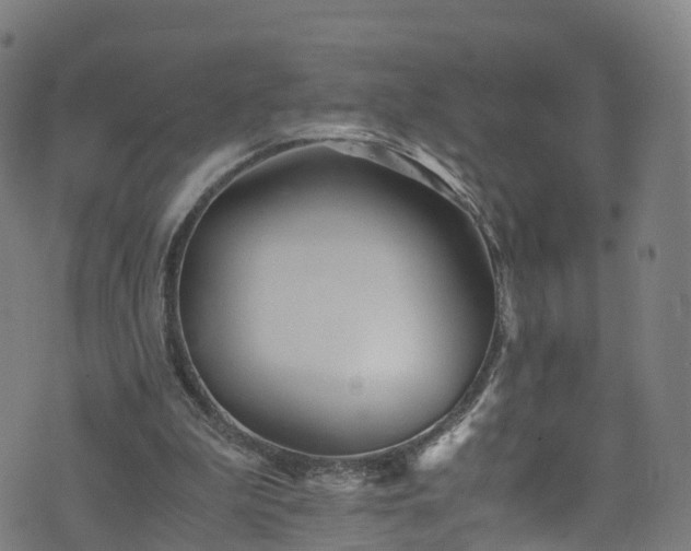 X0000076270199200610051319