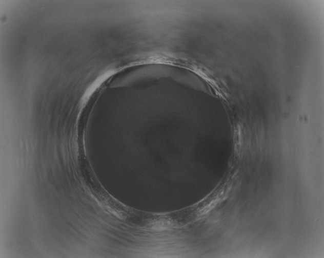 X0000076270200200610051319