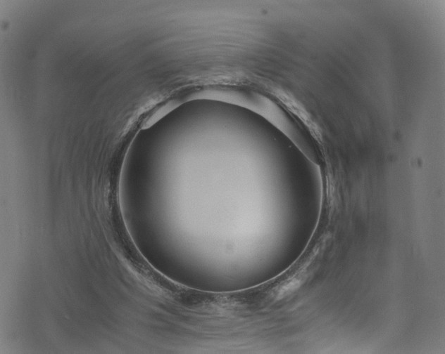 X0000076270201200610051319