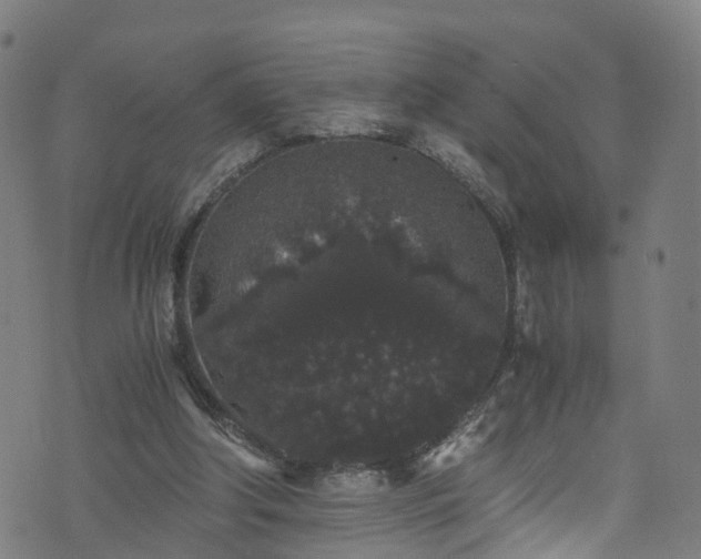 X0000076270202200610051319