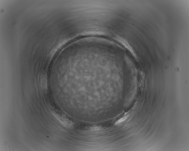 X0000076270204200610051319