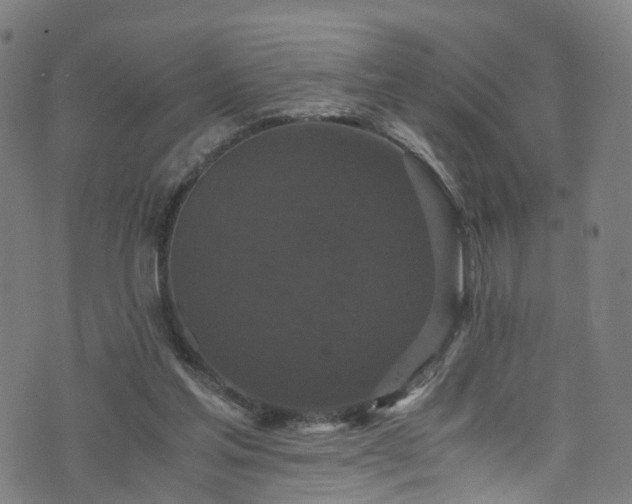 X0000076270205200610051319