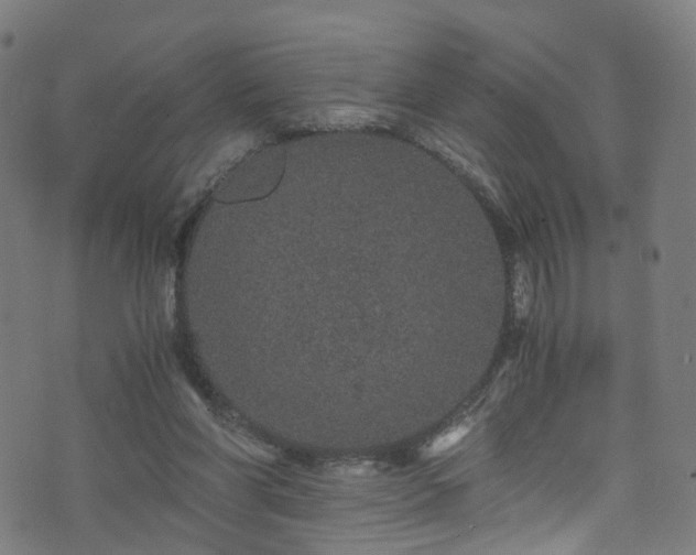 X0000076270206200610051319