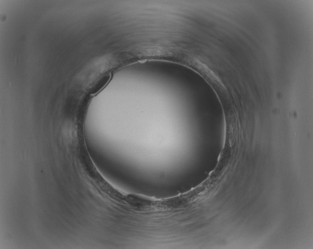 X0000076270207200610051319