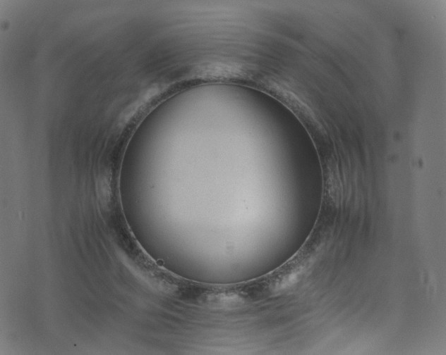 X0000076270208200610051319