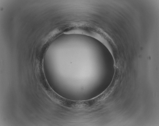 X0000076270209200610051319