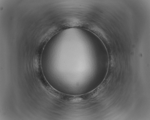 X0000076270210200610051319