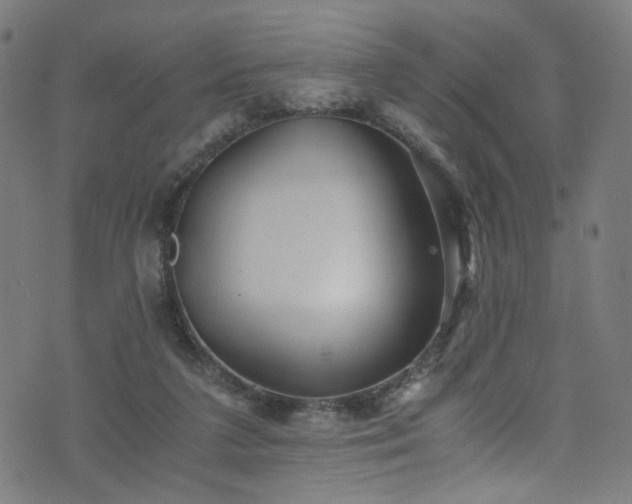 X0000076270211200610051319