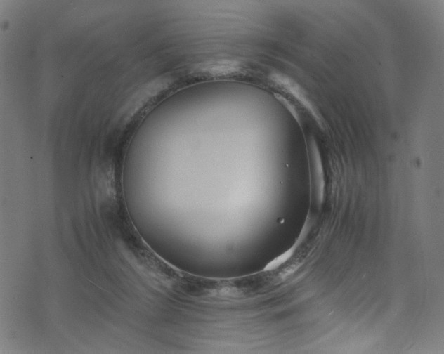 X0000076270212200610051319