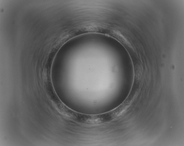 X0000076270213200610051319