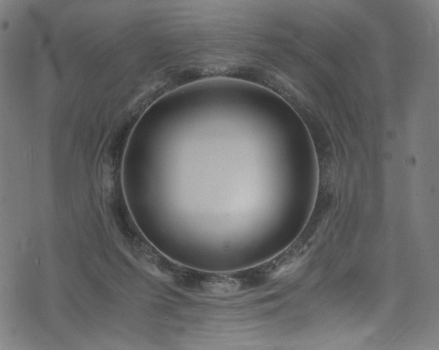 X0000076270215200610051319