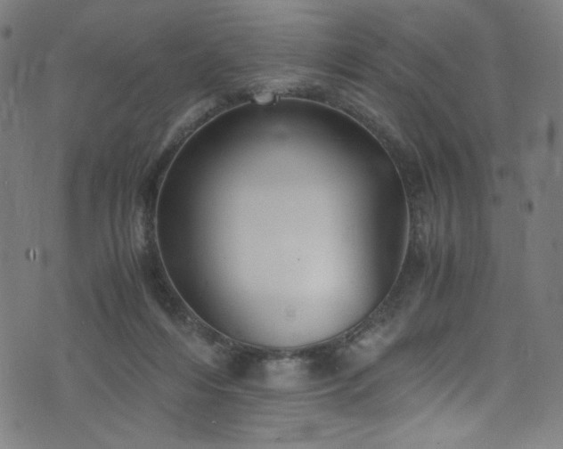 X0000076270216200610051319