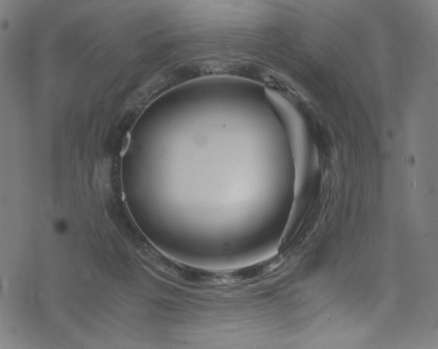 X0000076270217200610051319