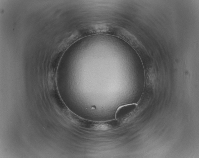 X0000076270218200610051319