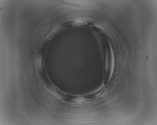 X0000076270219200610051319