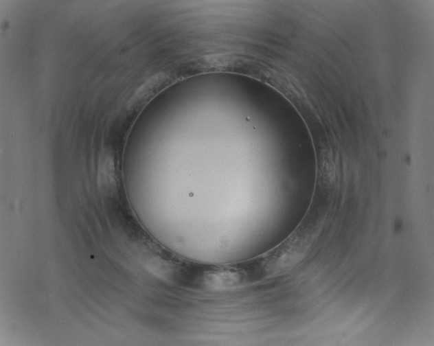 X0000076270220200610051319