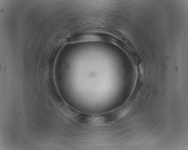 X0000076270221200610051319