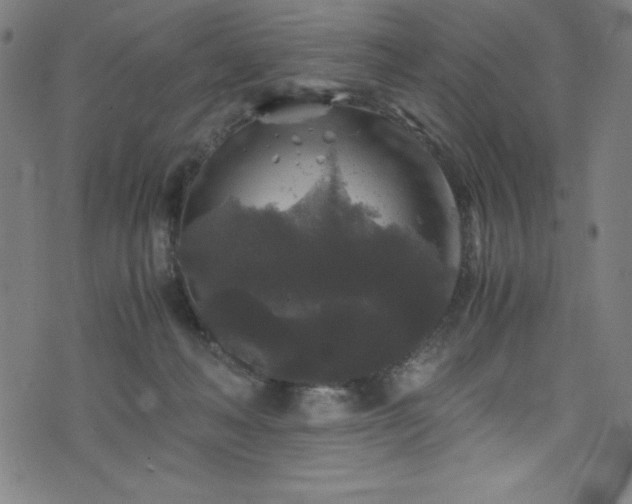 X0000076270222200610051319