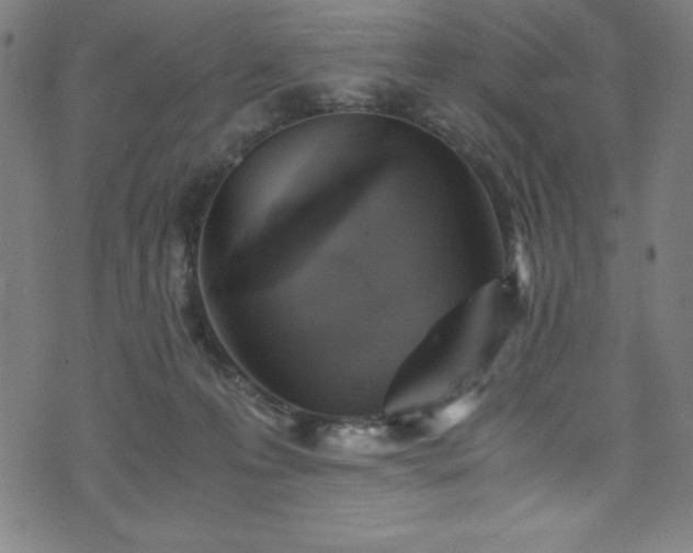 X0000076270223200610051319