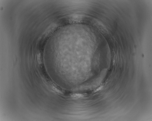 X0000076270224200610051319