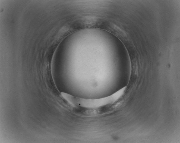 X0000076270225200610051319