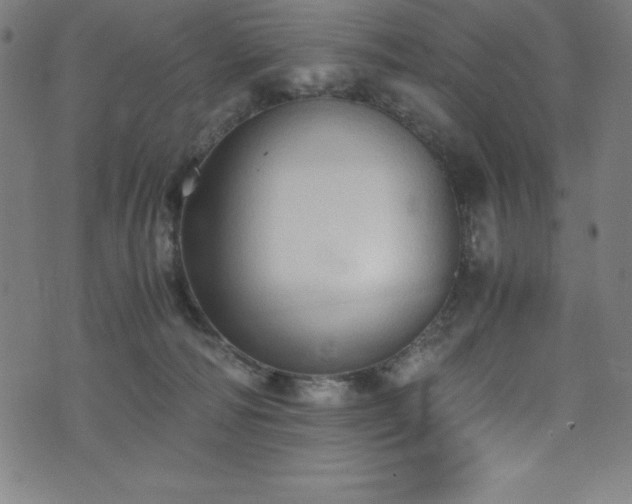 X0000076270226200610051319