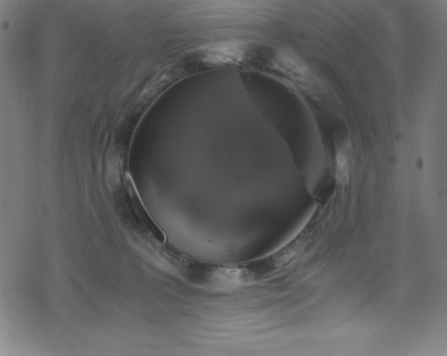 X0000076270227200610051319