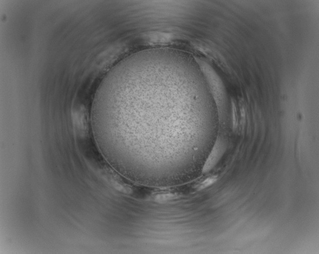 X0000076270228200610051319