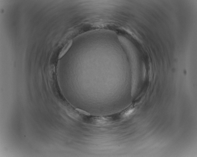 X0000076270229200610051319