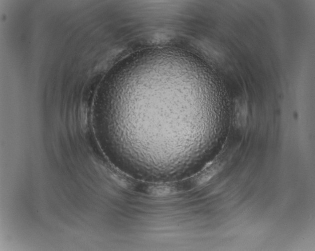 X0000076270230200610051318