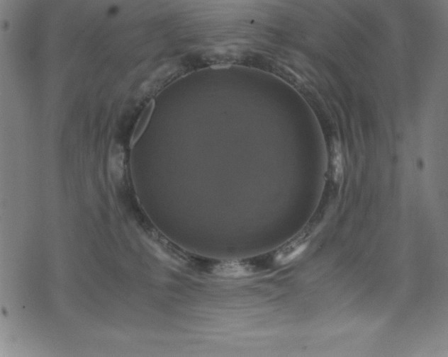 X0000076270231200610051318